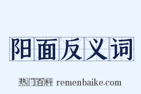 阳面反义词是什么意思的图片